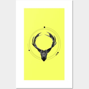 Black & white Deer Posters and Art